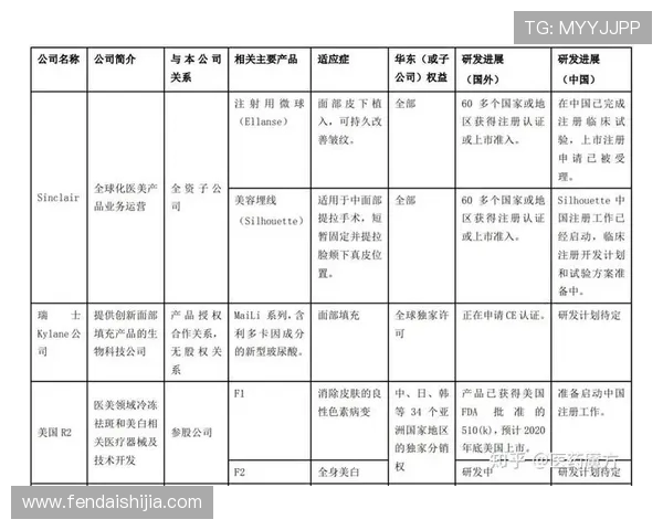英超球队的财务报表与经济状况分析