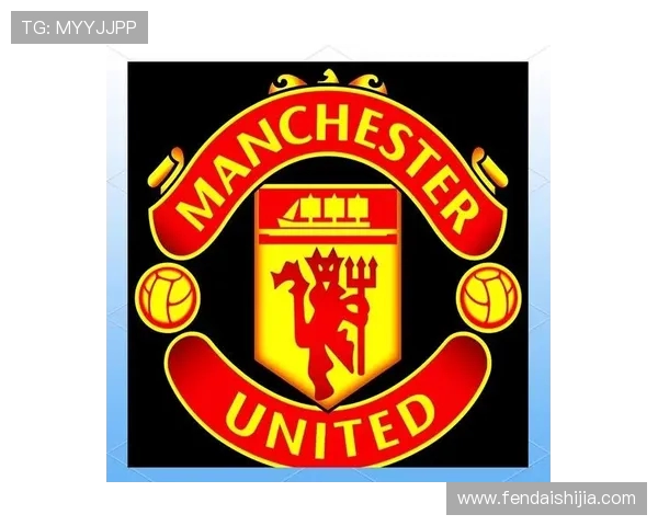 英超球队队徽大全及其设计含义解析 英超球队队徽大全及其设计含义解析