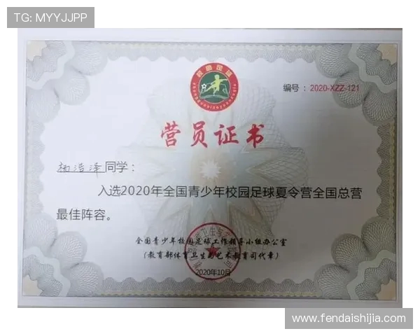 青少年足球运动员平衡能力开发训练手册 青少年足球运动员平衡能力开发训练手册